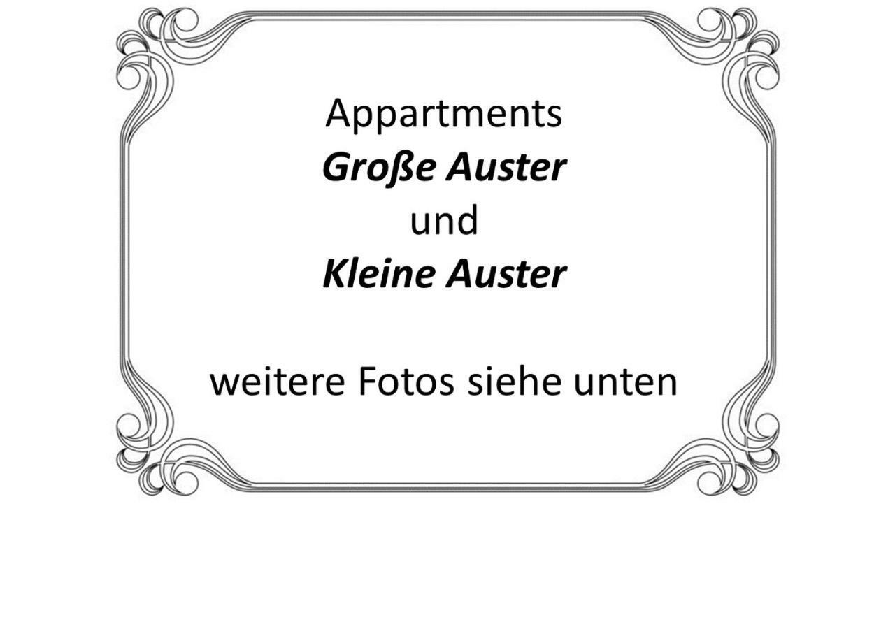 Auster-Appartements ساربروكن المظهر الخارجي الصورة